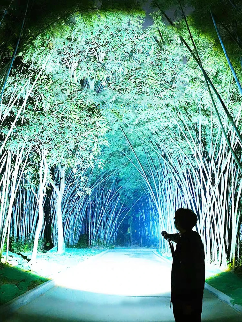 BEAMMASTER™ - SUPER RECHARGEABLE FLASHLIGHT